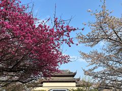 -苏州上方山国家森林公园