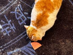 -波特曼西餐厅(南岗店)