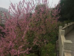 -船政文化景区-罗星塔公园