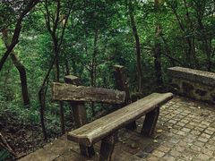 -紫金山山顶公园