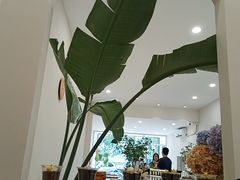 -echoes coffee回响咖啡(红山店)