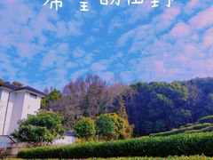 -素描餐厅