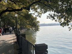 -杭州君悦酒店