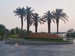 -宝安西湾红树林湿地公园