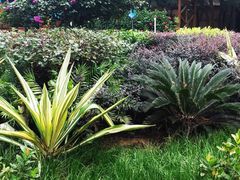 -北海金海湾红树林生态旅游区