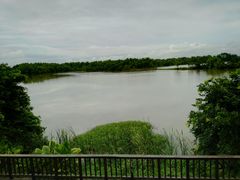 -大湾区中央湿地公园
