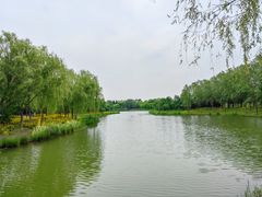 -东郊湿地公园