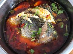 -风鑫铃罗非鱼(道沟店)