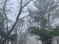 -牛背梁国家森林公园