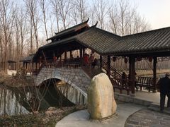 -合肥滨湖国家森林公园