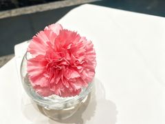 -眉州东坡(北苑华贸店)