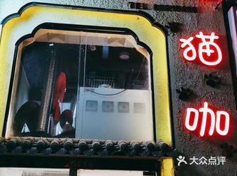 今天办事民乐园，在内街路过发现有支小泰迪狗在一个店门