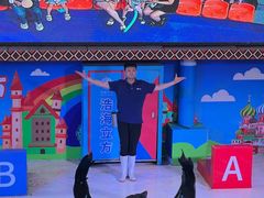 -成都浩海立方海洋公园