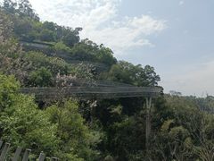 -福道