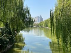 -南翠屏公园