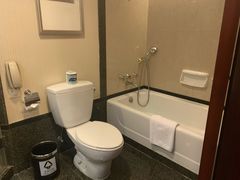 -成都天府丽都喜来登饭店