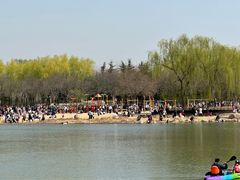 -大兴滨河森林公园