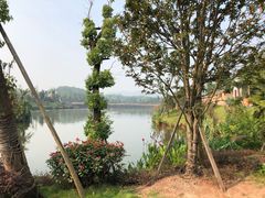 -枫香湖儿童公园