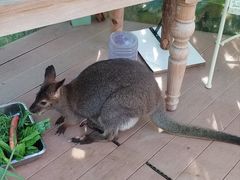 -正佳雨林生态植物园