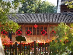 -新安江山水画廊风景区