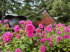 -潭柘寺景区