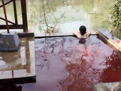 -深业半汤御泉庄温泉