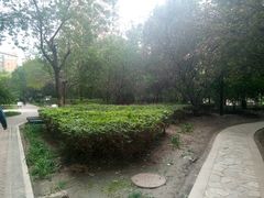 -OCT华侨城·北京