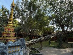 -瑞丽独树成林风景区