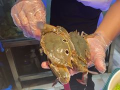 -曼格活海鲜·牛排自助(光明蓝鲸店)