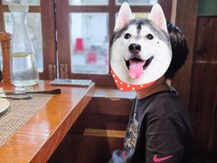 -摇滚披萨(长春街店)