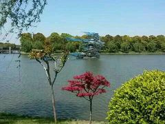 android_upload_pic-上海鲜花港