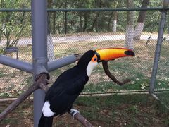 -西霞口神雕山野生动物世界