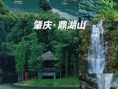 -鼎湖山风景区