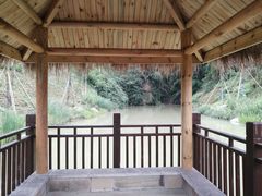 -缙云山景区