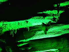 -天河潭旅游度假区
