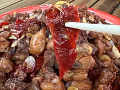 -柴窝堡22号辣子鸡·传承新疆菜