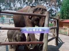 -云南民族村