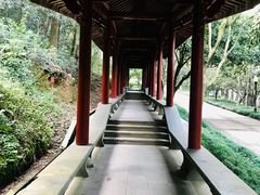 -杭州少年儿童公园