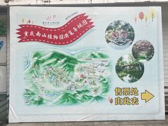 -南山植物园