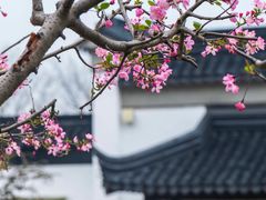 -苏州上方山国家森林公园