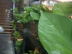-创新高肥羊火锅(朝阳路店)