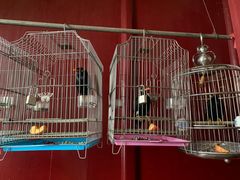 -九华山风景区月身宝殿