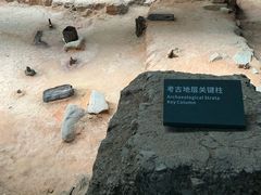 -南越王博物院(王宫展区)