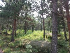 景点-沂蒙山旅游区云蒙景区(蒙山国家森林公园)
