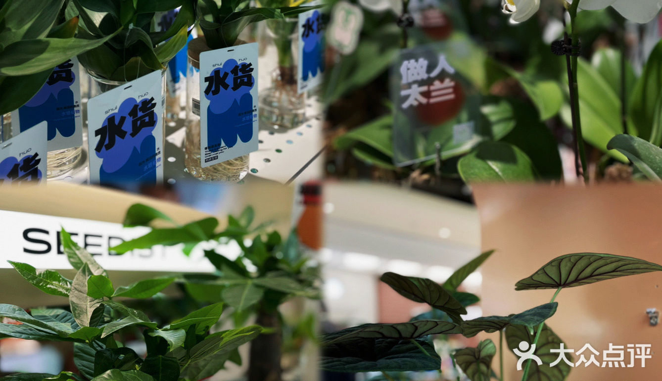 有种生物｜0⃣️抵抗力的生物店，有种就来