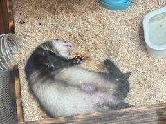-上海大自然野生昆虫馆