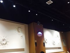 大堂-杨翔豆皮涮牛肚(华阳城店)