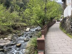 -石台牯牛降景区