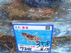 -旺豪超市(胜利购物广场店)
