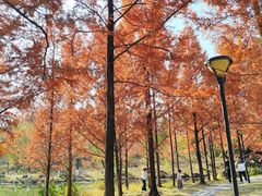 -浙江农林大学(东湖校区)